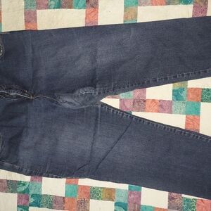 Gloria Vanderbilt 20W Amanda Blue Denim Jean
